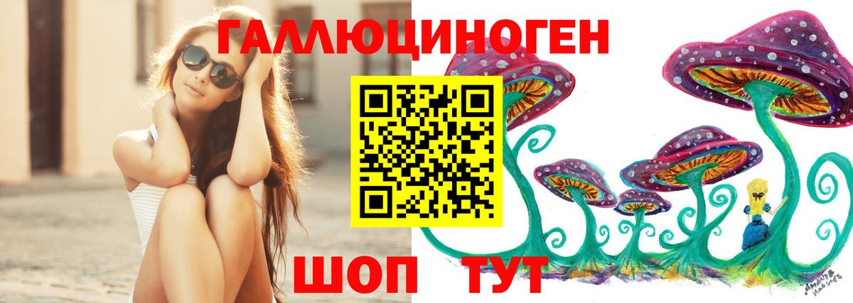 Псилоцибиновые грибы Cubensis  Галлюциногенные грибы Cubensis  Вход с VPN  Новоалтайск 